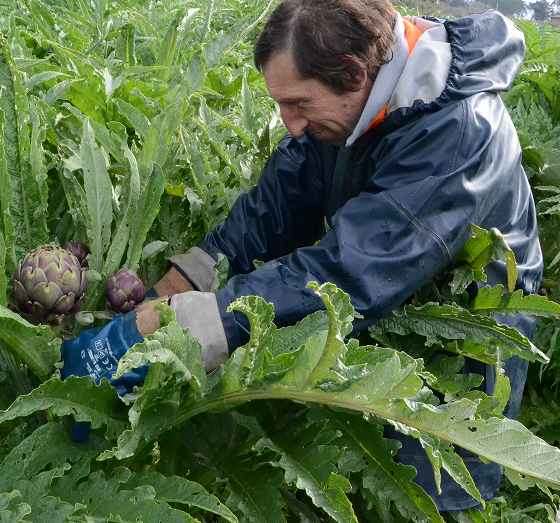 1. Fornitura per un mese