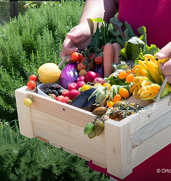 3. Cassetta di ortaggi freschi